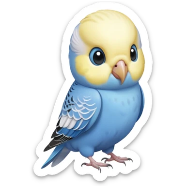 budgie, light grey with a white head sticker