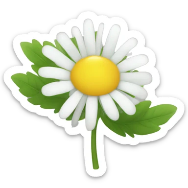 CHAMOMILE FLOWER sticker