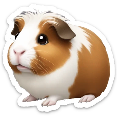 Guinea pig with brown and white hair  sticker