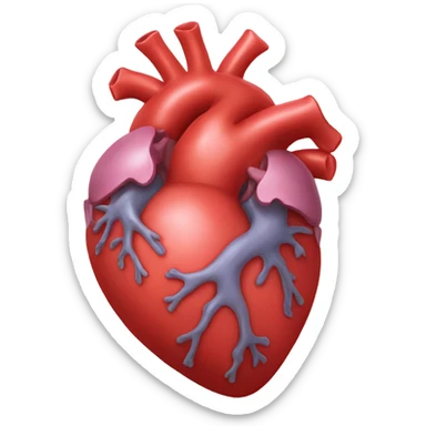 Anatomical heart sticker