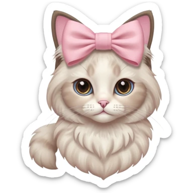 Ragdoll cat wearing light pink coquette bow sticker