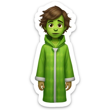 A little boy with brown hair, hazel eyes, skinny, wearing plaid pajama pants, a green hooded robe and grinch house shoes  sticker