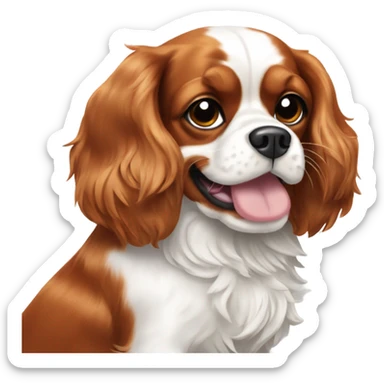 cavalier king charles spaniel giving thumbs up sticker