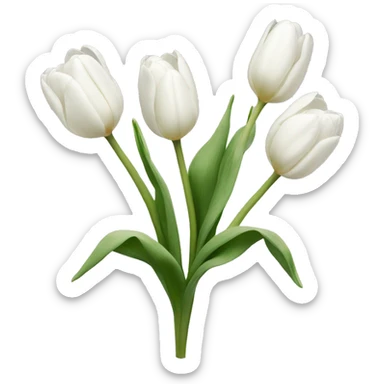White tulips  sticker