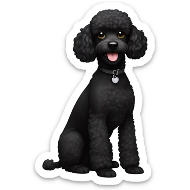 Small poodle mix, not curly. All black in color everywhere. No other color. Underbite with teeth showing  sticker
