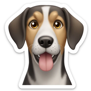 A older dog that’s a beagle, hound dog, and huskie mix, but mostly beagle and huskie sticker