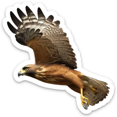 Hawk rush sticker