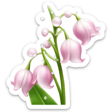 Rose-pink lily of the valley with dew drops sticker
