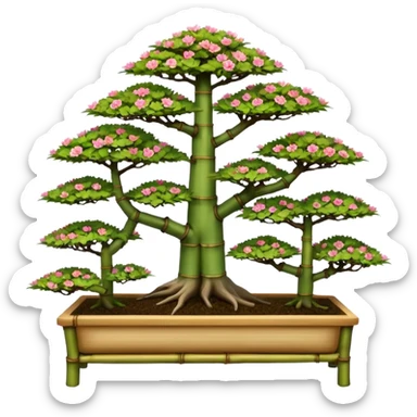 Wide Three tiered bonsai planters stand, shelving nine maple specimens and several smaller azaleas, frame made of one inch thick bamboo  sticker