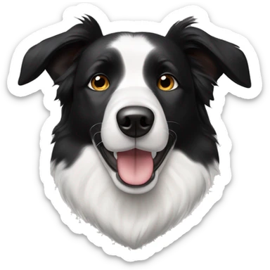 Black and white elderly dog short haired border collie smaller ears  sticker