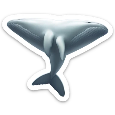 white whale , underside sticker