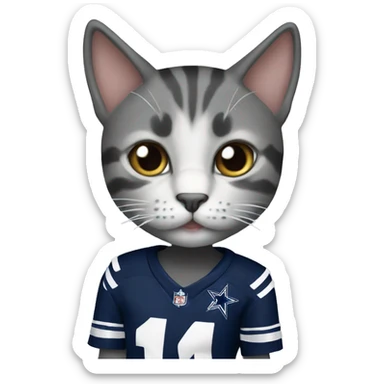 Dallas cowboys cat sticker