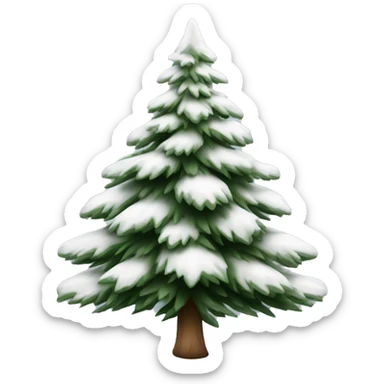  actual white fir christmas tree isolated.  sticker