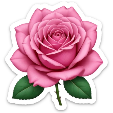 “A Polaroid photo of a pink rose  sticker