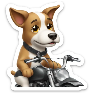 dog on a bike wearing pan sticker