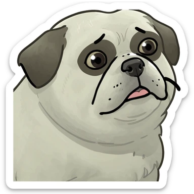 fat white shitzu with one black eye   sticker