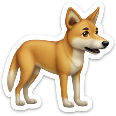Dingo sticker