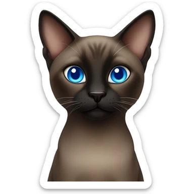 Dark brown and black Siamese cat with blue eyes sticker