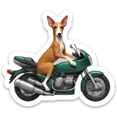podenco on motorbike sticker