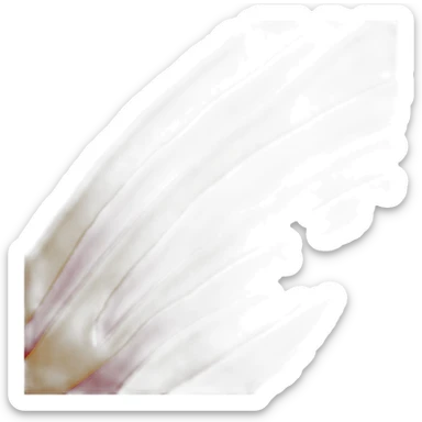 catalon flag sticker