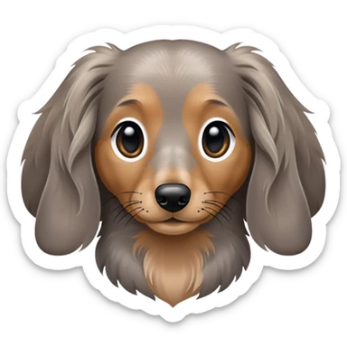 Long haired dapple dachshund, tan, gray & black sticker