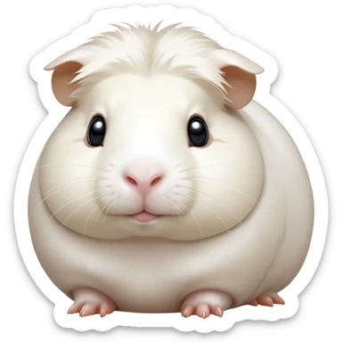Cinematic Noble White Guinea Pig Portrait Emoji, Poised and regal, with a compact, chubby build and a pristine, well-groomed pure white fur, deep-set soulful dark eyes, Simplified yet sharp and sophisticated features, highly detailed, glowing with a soft, dignified glow, high shine, intelligent and sweet, stylized with an air of gentle purity, focused and attentive, soft glowing outline, capturing the essence of a watchful and confident little companion, so majestic it feels as though it could scurry out of the screen with effortless authority! sticker