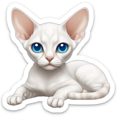Slim white devon rex with light blue eyes relaxing sticker