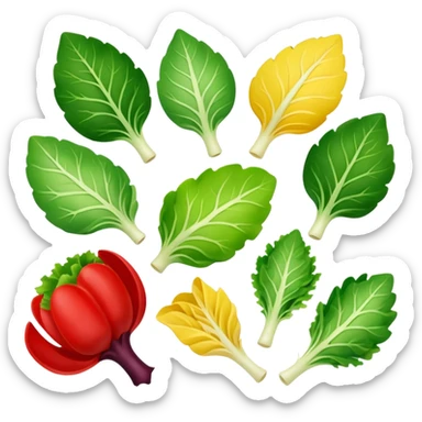 different salad leaves different colors  sticker