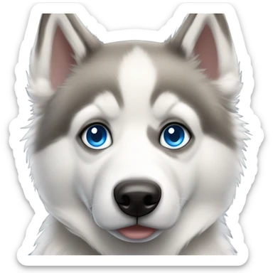 husky and alaskan eskimo mixed dog with blue eyes sticker