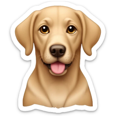 perro cachorro raza labrador retriever color marón sticker