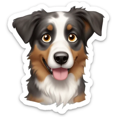 Australian shepherd with light blue eyes dark ears and tan cheeks  sticker