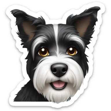 Shaggy black and white small terrier with pointed ears  sticker