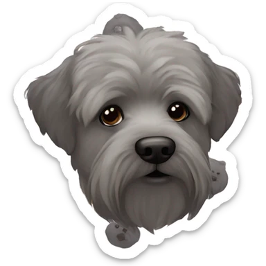 Bouvier bernoise tricolore  sticker