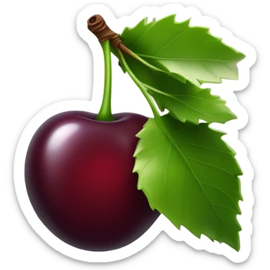 Burgundy cherry sticker