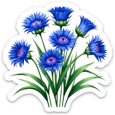 luxuriant, bouquet Cornflower, stem, leaf sticker