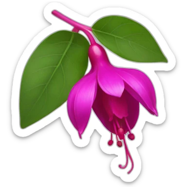fuchsia sticker