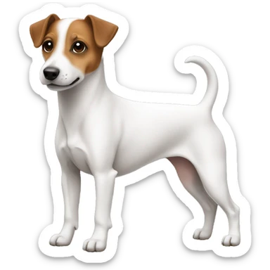 Jackrussell body side sticker