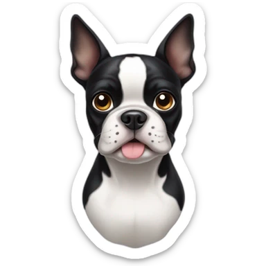 boston-terrier-with-floppy-ears sticker