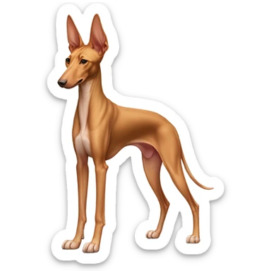 Egyptian pharaoh hound sticker