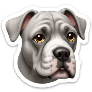 Grijze Franse buldog sticker