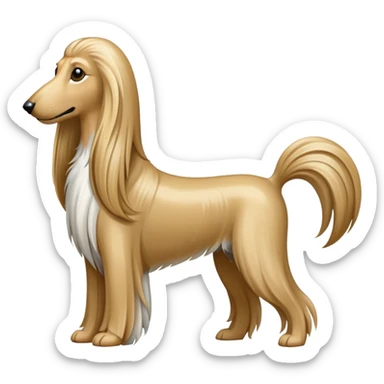Afghan hound sticker