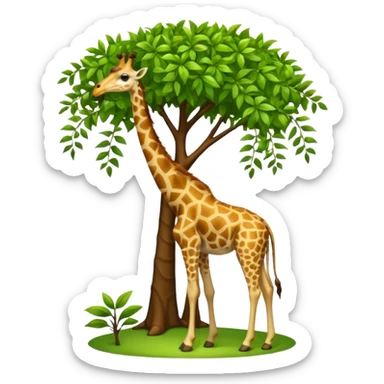 giraffe eating leaves from a tree sticker