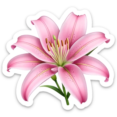 lily flower pink sticker