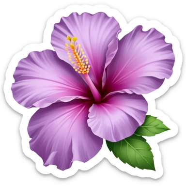 single lilac hibiscus blossom facing left in png form  sticker