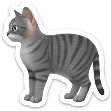 grey tabby cat with snipped ear sticker