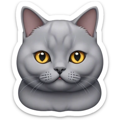 Graue british shorthair car sticker
