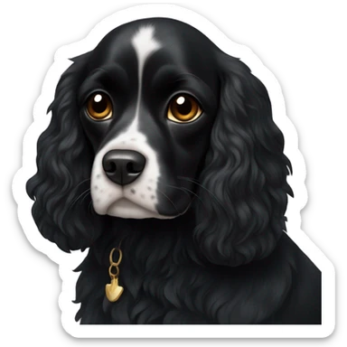 completely black small king spaniel with black fur on his whole face and white fur on chest sticker