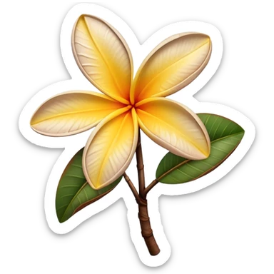 withered plumeria  sticker