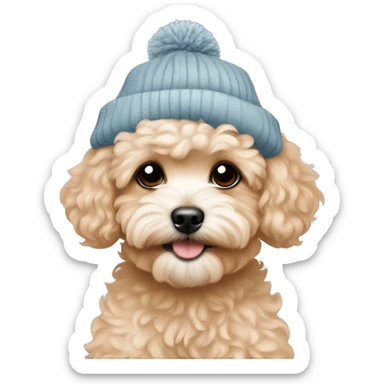 Aesthetic Apricot maltipoo puppy girl with winter hat sticker