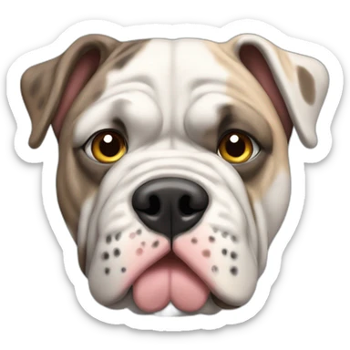 merle british bulldog sticker